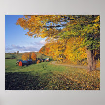 USA, Vermont, Jenne Farm. Fall comes to Jenne Poster