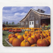 USA, Vermont, Shelbourne, Pumpkins Mousepads