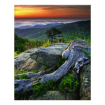 USA, Virginia, Shenandoah National Park.