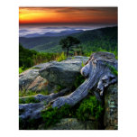 Landscape Posters