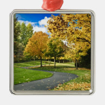 USA, Washington Christmas Ornaments