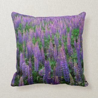 USA, Washington, Clallam County, Lupine Throw Pillows
