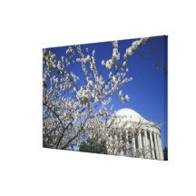 USA, Washington DC. Cherry Blossom Festival and 2 Stretched Canvas Prints