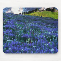 USA, Washington, Mt. Rainier National Park. Mt. Mousepad