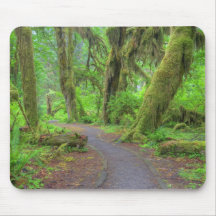 USA, Washington, Olympic National Park, Hoh Rain Mouse Pads
