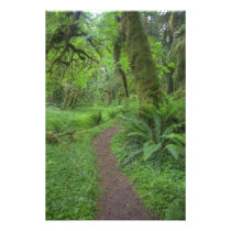 USA, Washington, Olympic National Park,