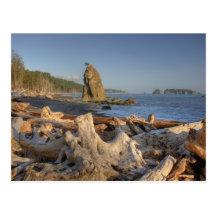 USA, Washington, Olympic National Park, Rialto Post Cards