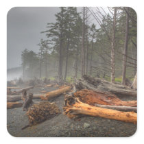 USA, Washington, Olympic National Park, Rialto Sticker
