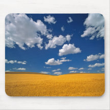 USA, Washington State, Colfax. Ripe barley meets Mouse Pads