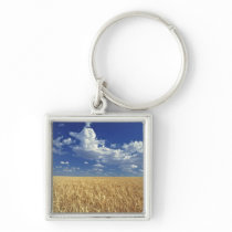 USA, Washington State, Colfax. Ripe wheat Keychain