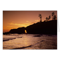 USA, Washington State, Olympic National Park. 2 Cards