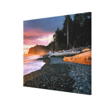 USA, Washington State, Olympic NP. Waves lap the Gallery Wrapped Canvas
