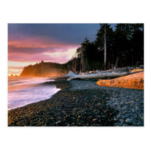 USA, Washington State, Olympic NP. Waves lap the Postcards