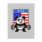 This cute bodybuilding panda loves weightlifting. He stands in front of a large flag of the United States of America. Look how easy he lifts that heavy barbell loaded with weight plates. This design is too cute. Great gifts here for anyone from the USA who loves weightlifting.