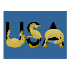 USA written in ponies Post Cards