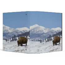 USA, WY, Yellowstone NP, American Bison Bison Vinyl Binder
