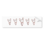 Usagi bunny rabbit