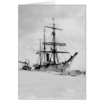 USCG Bear cards by spfino USCG Bear cards