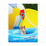 USDA Certified Beach Bum Chipmunk Post Cards