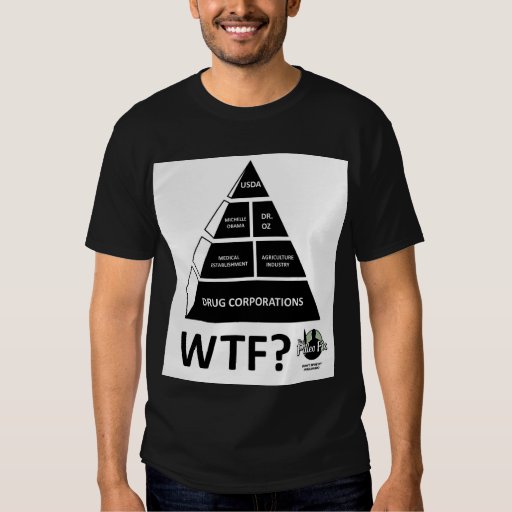 food pyramid t shirt