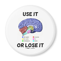 Use It Or Lose It (Brain Anatomy Humor Saying) Refrigerator Magnet
