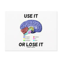 Use It Or Lose It (Brain Anatomy Humor Saying) Post Card