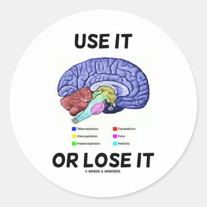 Use It Or Lose It (Brain Anatomy Humor Saying) Stickers