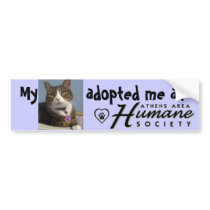 Use your own picture!!! bumper stickers by athenshumane Use your own picture!!! bumper stickers
