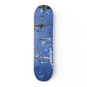 Used skateboards by photo_phish Used skateboards