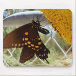usepad