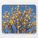 usepad with autumn leaves usepad with autumn leaves