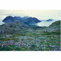 Ushagat Island in the Barren Islands photo sculptures by animalpark Ushagat Island in the Barren Islands photo sculptures