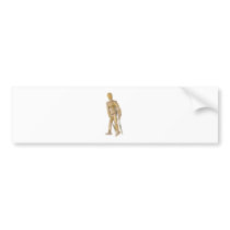 UsingCrutches013110 Bumper Sticker