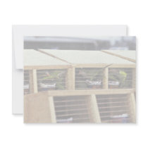 USInspection of Quaker Parakeet Shipment from Urug Personalized Announcement