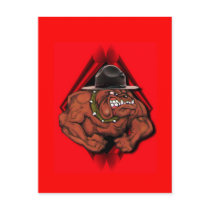 USMC Devil Dog Post Card
