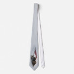 USMC ties