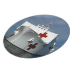 USNS Mercy Hospital Ship Plate