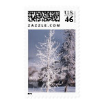 USPS Christmas Stamps 2011 Winter Photo
