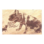 pit, pitbull, bull, dog, bulldog, puppy,