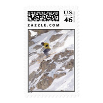 usx1_chris_johnson_16749.jpg postage