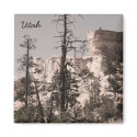Utah magnets