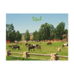 Utah Post Card