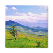 Utah Scenic View magnets