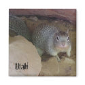 Utah Squirrel Magnets by sumiko Utah Squirrel Magnets