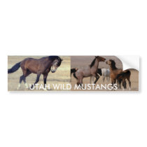 Utah Wild Mustangs bumper stickers by JudsonJoyce Utah Wild Mustangs bumper stickers