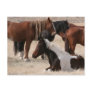 Utah Wild Mustangs