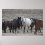Utah Wild Mustangs Posters