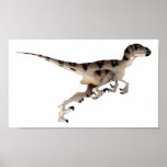 Utahraptor Poster