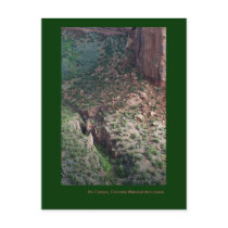 Ute Canyon, Colorado National Monument postcards by bluerabbit Ute Canyon, Colorado National Monument postcards
