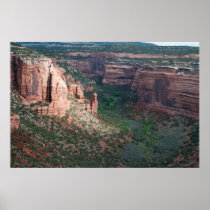 Ute Canyon Print